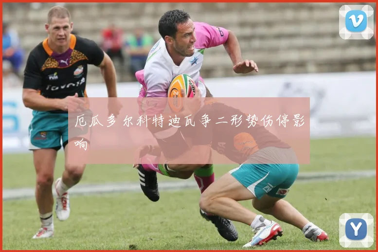 厄瓜多尔科特迪瓦争二形势伤停影响