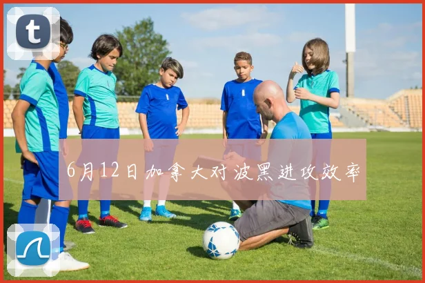 6月12日加拿大对波黑进攻效率