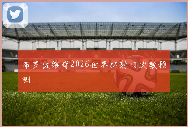 布罗佐维奇2026世界杯射门次数预测