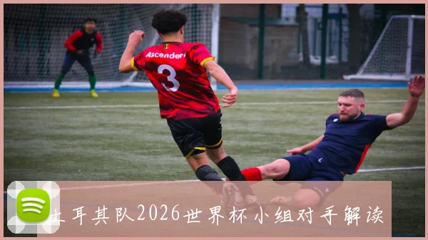 土耳其队2026世界杯小组对手解读