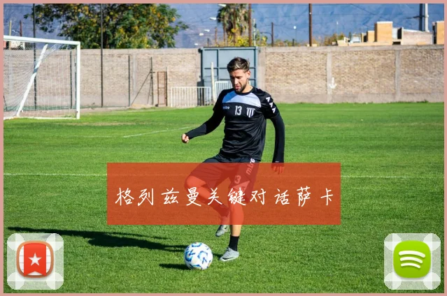 格列兹曼关键对话萨卡