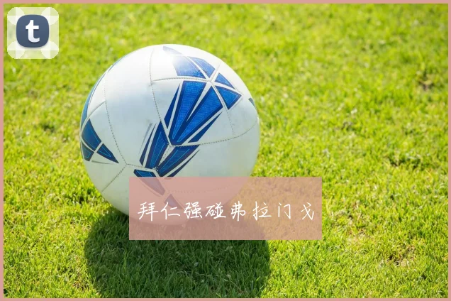 拜仁强碰弗拉门戈