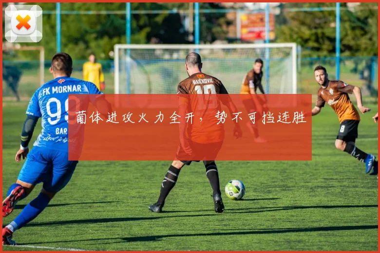 葡体进攻火力全开,势不可挡连胜
