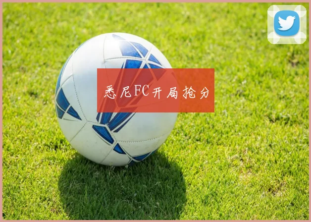 悉尼FC开局抢分