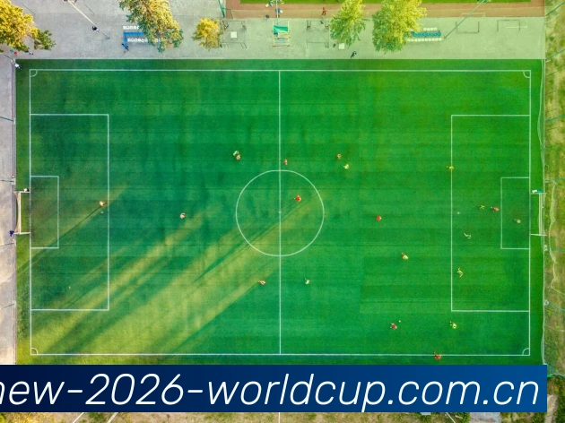 关于国际足联美加墨世界杯