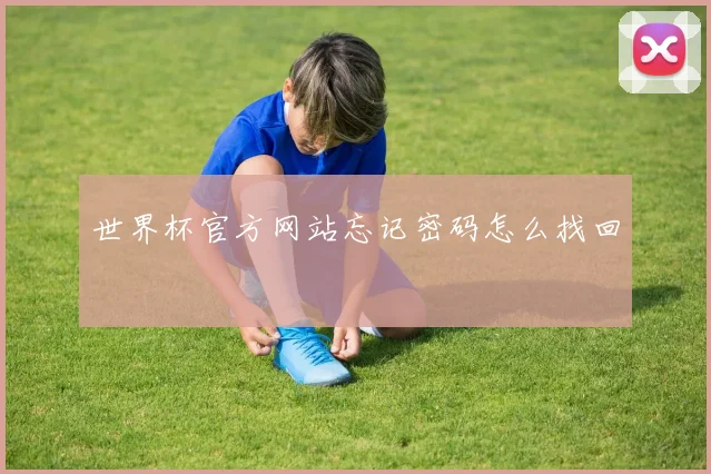 世界杯官方网站忘记密码怎么找回