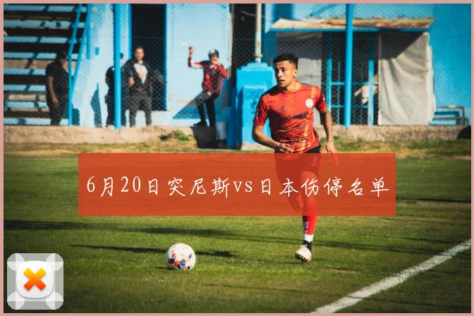 6月20日突尼斯vs日本伤停名单